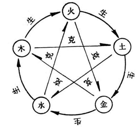 水木五行|水与木 的关系？